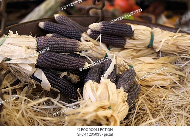 Purple corn, in bundles at the market