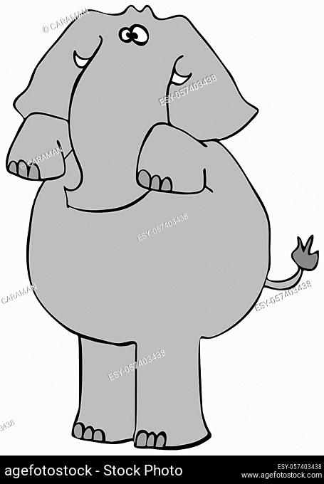Elephant Standing On Hind Legs - Only Creative Stock Images, Photos &  Vectors | agefotostock