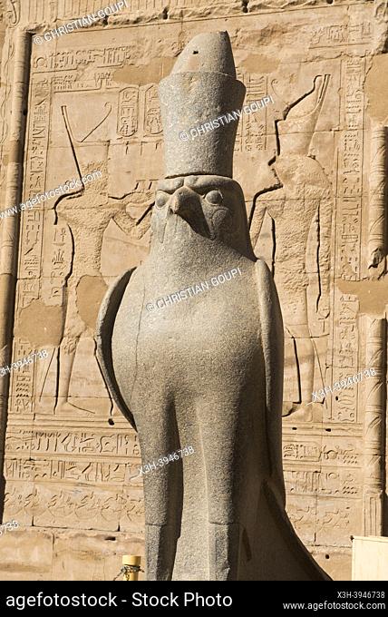 Statue of Horus in front of the entrance to the large hypostyle room, Temple of Edfu, Egypt, Northern Africa
