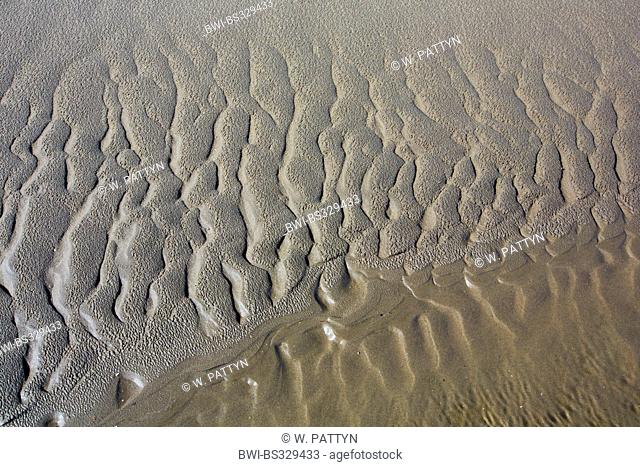 Mudflats during low tide, Belgium