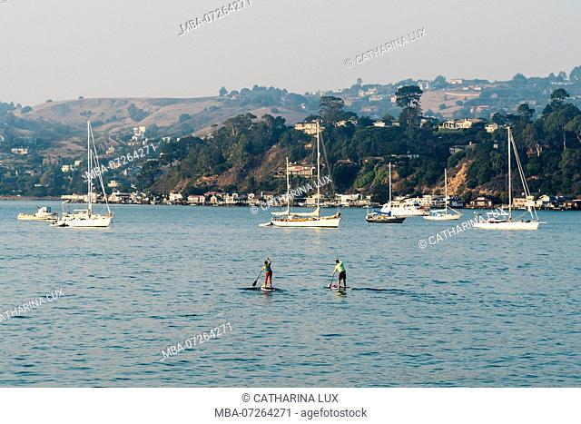 San Francisco, Sausalito, stand-up paddling
