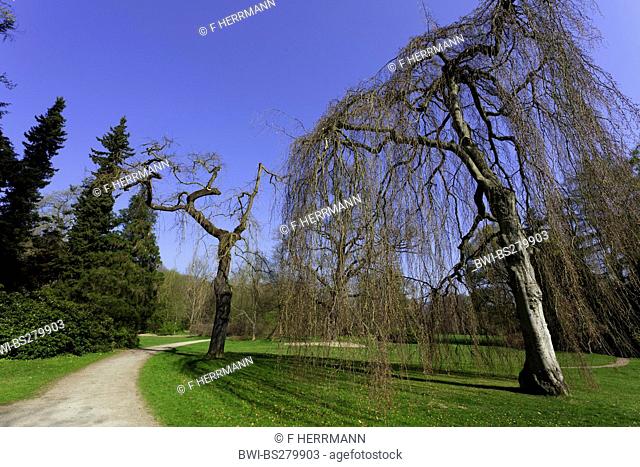 springtime in the park of the Chteau Greiz, Germany, Thuringia, Greiz