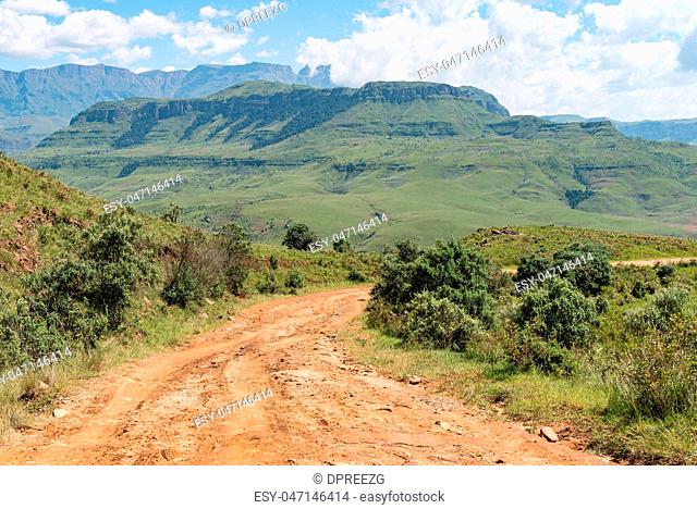 Road to Injisuthi in Giants Castle section, Maloti Drakensberg P