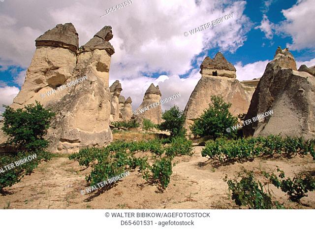 Fairy Chimneys. Zelve Open Air Museum. Cappadocia. Turkey