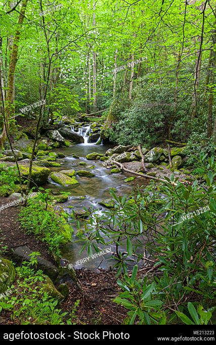 Roaring Fork in the Great Smoky Mountains National Park