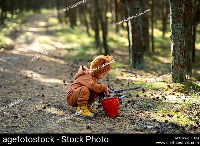 Girl putting pine cones in bucket at forest