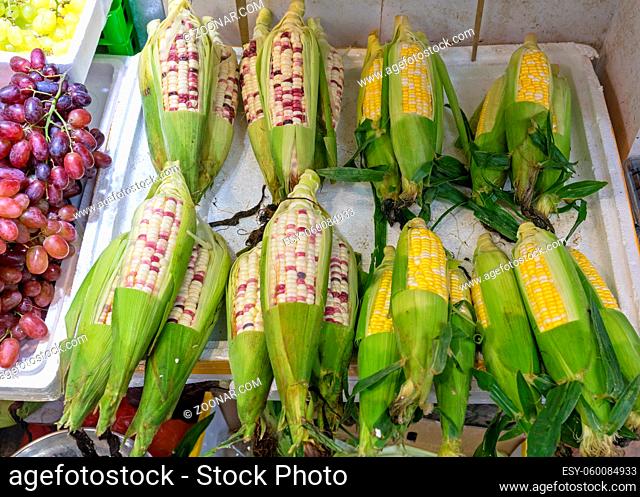 Bunch of Corn Cobs at Farmers Market