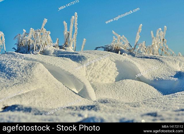 snowdrifts, frozen, ice, snow, cold, bavaria, germany
