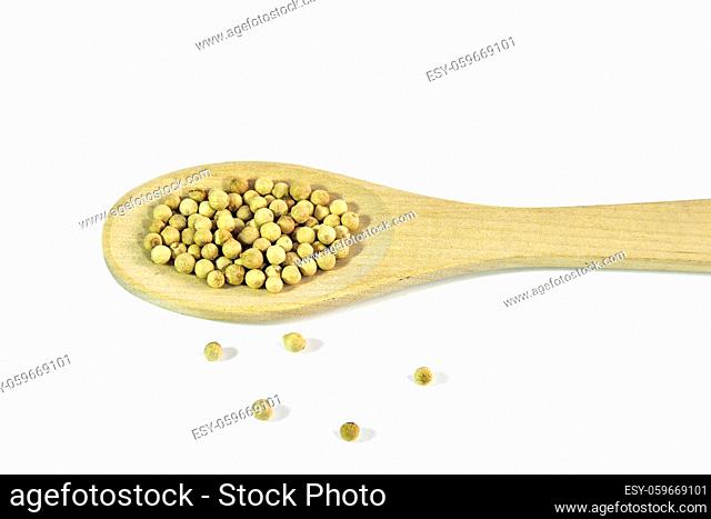 White pepper - fully ripened black peppercorns without shell has a white color, in wooden spoon on a white background isolated