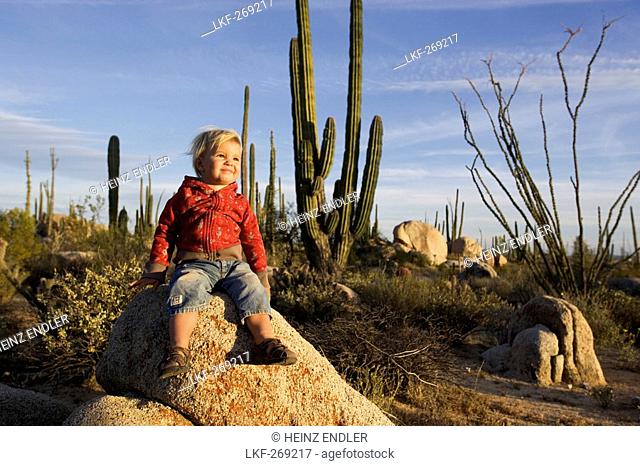 Little girl sitting on a rock amidst cactuses in the desert, Catavina, Baja California Sur, Mexico, America