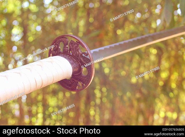 Katana Sword in Bamboo Forest