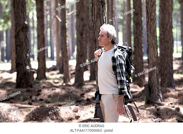 Mature man hiking in forest