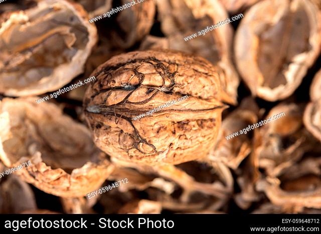 Broken walnut shells. Pieces of nutshells. Nutshell texture. Shells of walnut