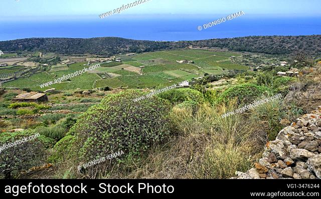 Pantelleria, Trapani district, Sicily, Italy, Europe, The Valley of the Monastery