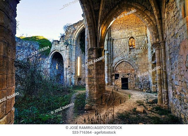 Ruins of Bonabal monastery. Castilla la Mancha. Spain