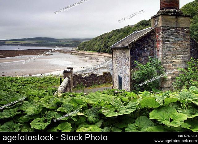 Beach, Firth of Clyde, Gas House, Gas Managers House, Old Gas House, National Trust for Scotland, Culzean Castle, Maybole, South Ayrshire, Lowlands, Scotland