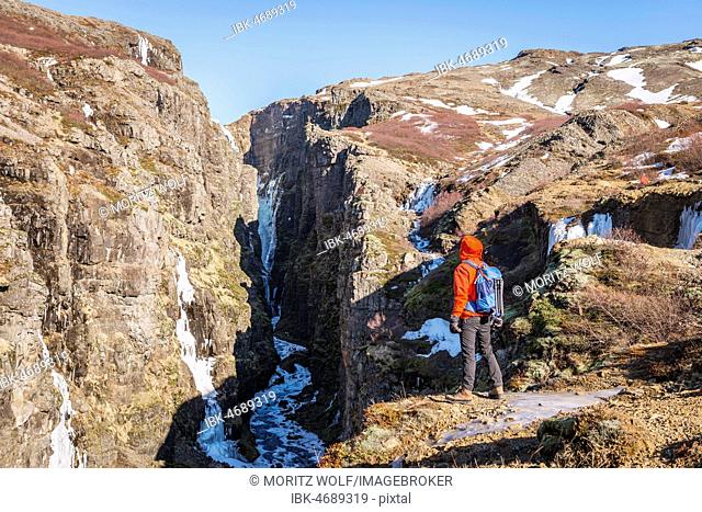 Man in orange jacket standing at the canyon of Glymur Waterfall, Hvalfjarðarsveit, Vesturland, Iceland