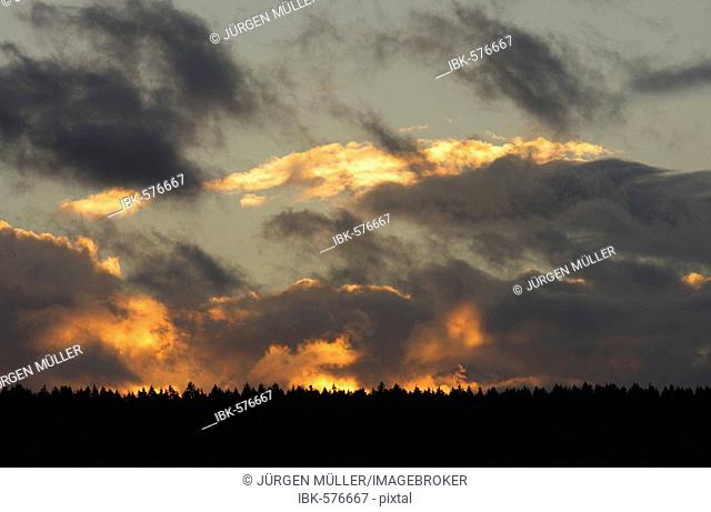 Thunderclouds at dusk above the edge of a forest