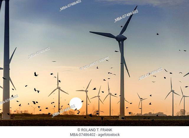Germany, Lower Saxony, East Frisia, wind power plant near Emden