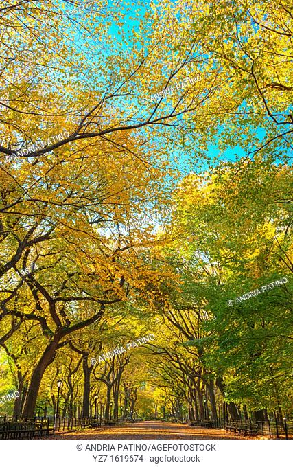 Literary Walk in Autumn colors, Central Park