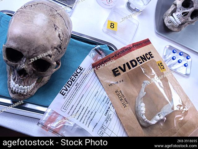 Human skull of a murdered adult in forensic lab, conceptual image