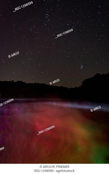 Starry sky in August, Pleiades, Seven Sisters, Steinertsee, Natural park Meissner-Kaufunger Wald, Hesse, Germany