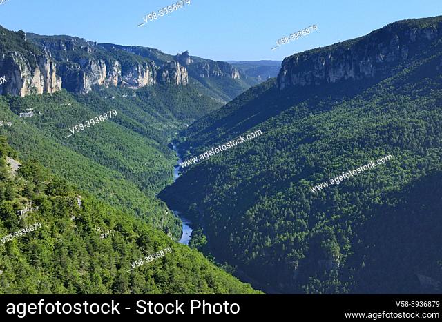 France, Lozère, Gorges du Tarn