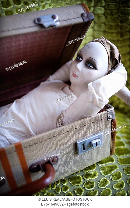Rag doll relaxed in a suitcase