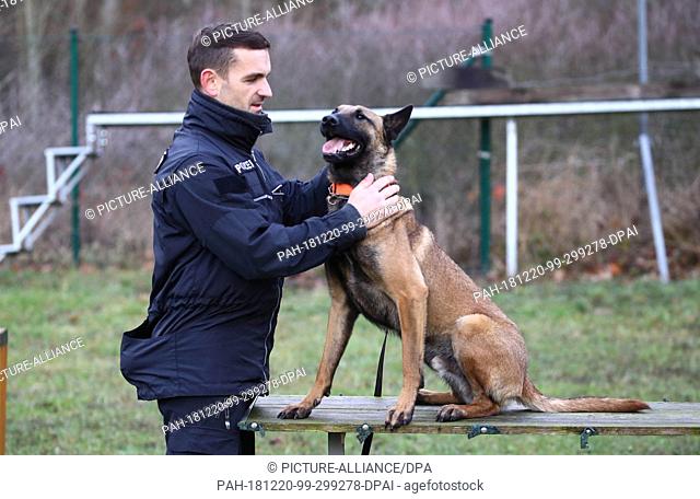 20 December 2018, Thuringia, Erfurt: Police chief Martin Scharf completes an examination with his police dog ""Odin"". The Belgian shepherd dog is tested for...