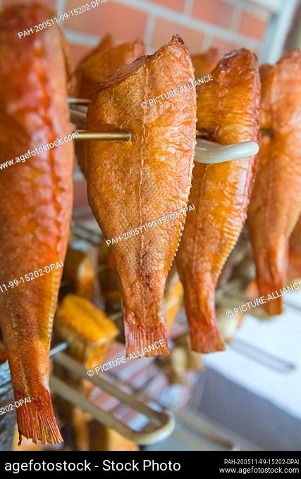 07 May 2020, Mecklenburg-Western Pomerania, Koserow: Smoked fish fresh from the smoking oven, recorded in Kosreow on the island of Usedom