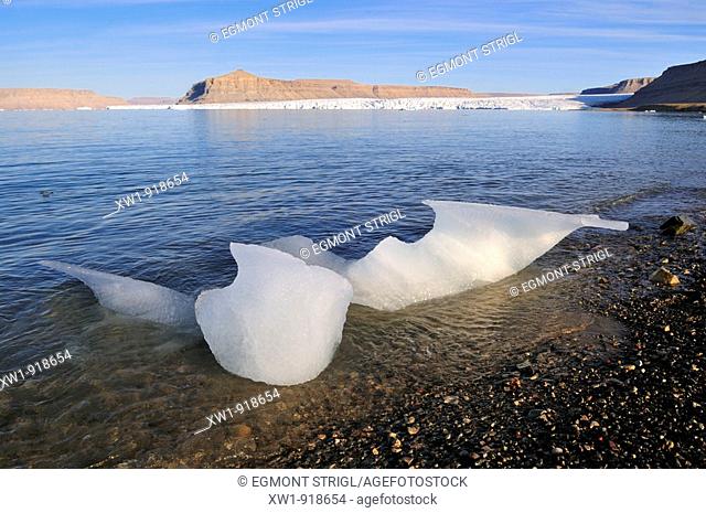 beach with glacier and ice at Crocker Bay, Devon Island, Northwest Passage, Nunavut, Canada, Arctic