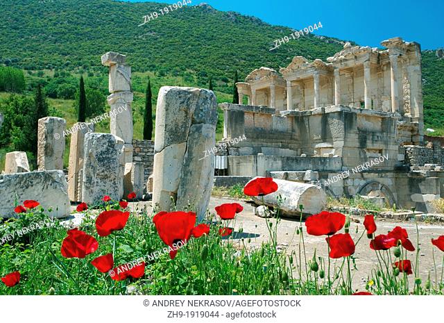 Antique city of Ephesus, poppy flowers in front, Turkey, Western Asia