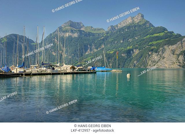 View from Sisikon village onto the Lake Lucerne with Niederbauen Chulm mountain and Urner Alps, Uri, Switzerland, Europe