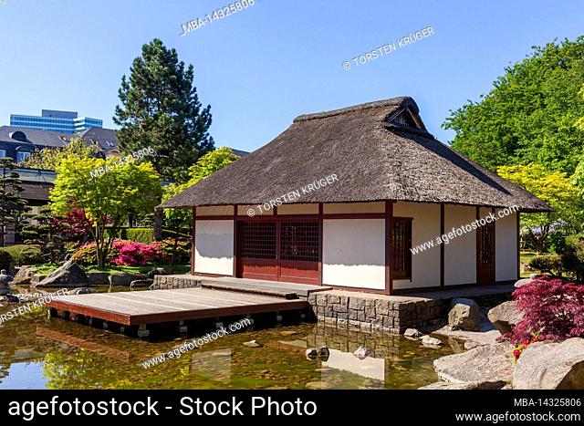 Japanese garden, tea house and pond Hamburg, Germany, Europe