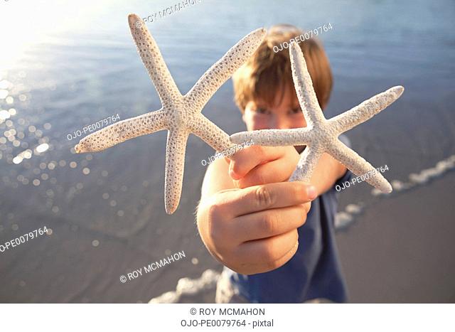 Portrait of boy holding two starfish on beach