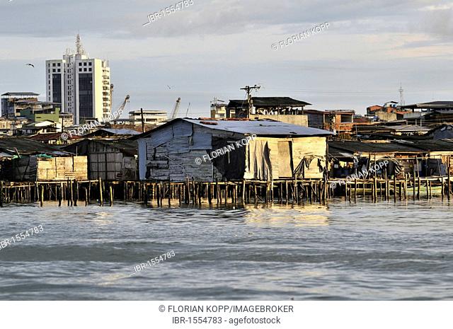 Poor dwellings, wooden stilt houses, mangrove area in the estuary of the Rio Anchicaya river in the Pacific at high tide, Bajamar slum, Buenaventura