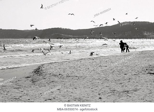 Vacationers walking along the beach of the Baltic sea spa Binz and feeding gulls