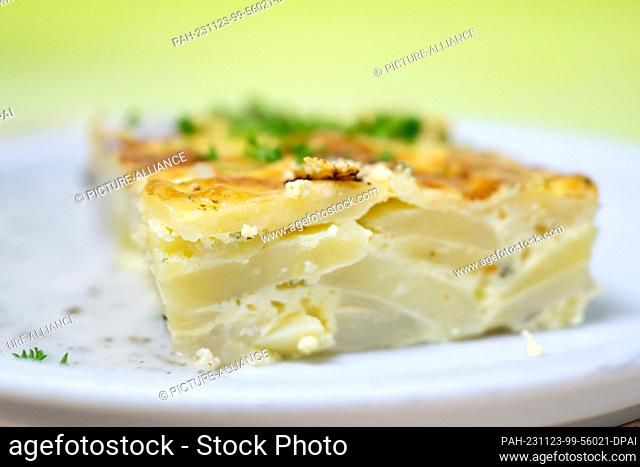23 November 2023, Saxony, Dresden: A plate of potato gratin stands on a tray in the kitchen at Dresden Municipal Hospital