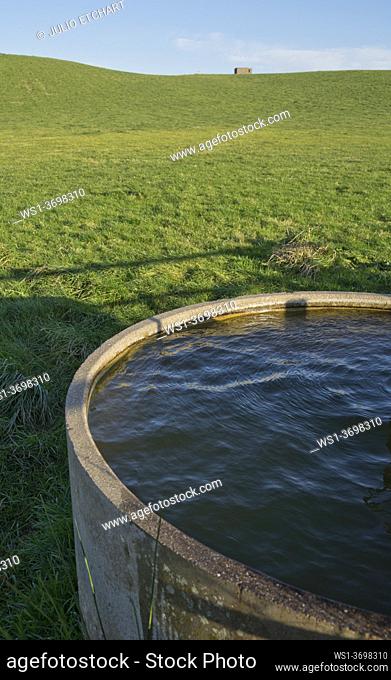 Water tank for sheep in a farm near Aberystwyth, Ceredigion, Wales, UK