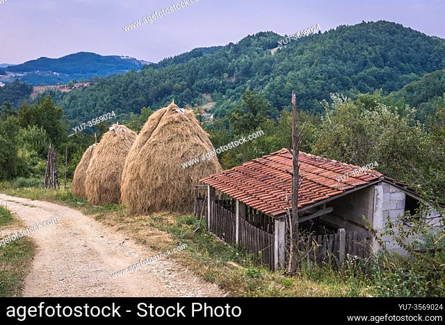 Small farm between Guca town and Vuckovica village in Lucani municipality, Moravica District of Serbia