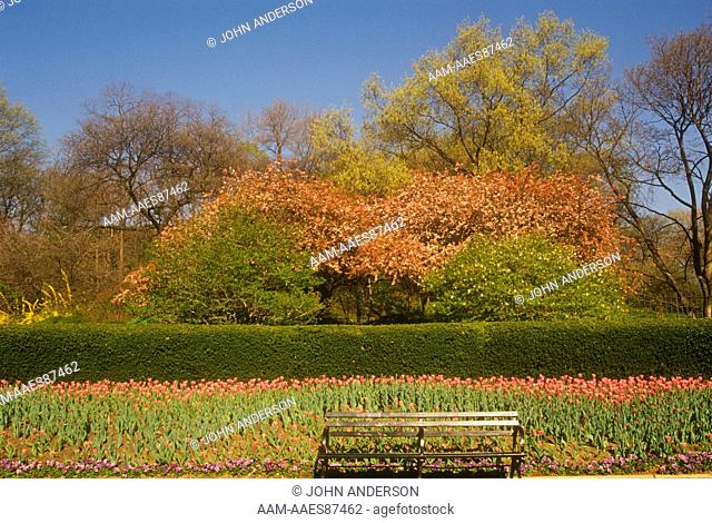 Spring scene with Tulips & bench, Conservatory Garden Central Park, New York