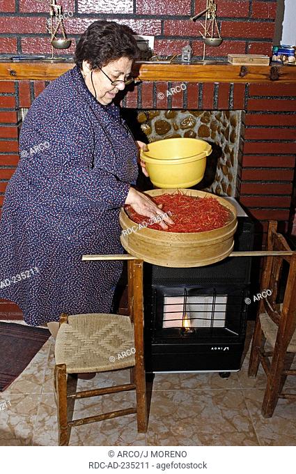 Saffron stigmas in bowl on oven, Villafranca de los Caballeros, Toledo province, Castilla-La Mancha, Spain, Crocus sativus, drying, dried