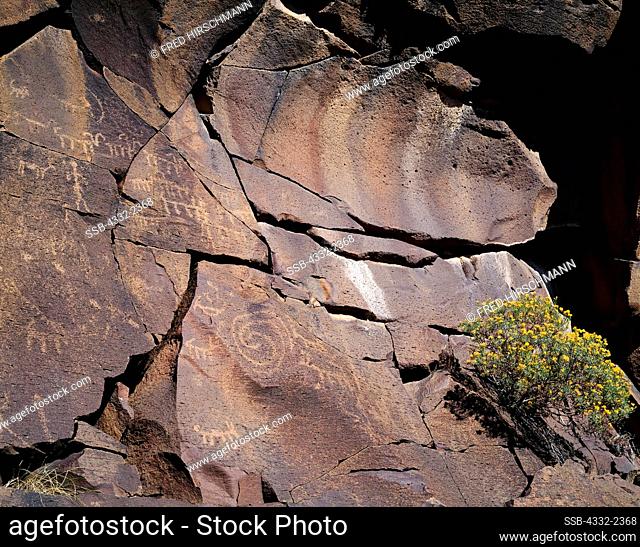 Southern Sinagua petroglyph panel with bighorn sheep, anthropomorph, unusual spiral and other elements, backcountry of Coconino National Forest, Arizona