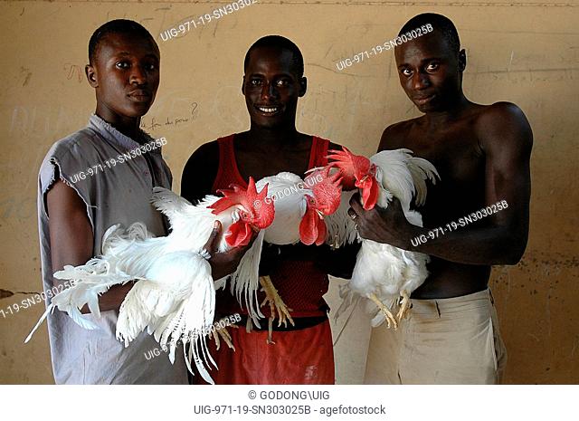 Men with roosters, Mbao, Senegal