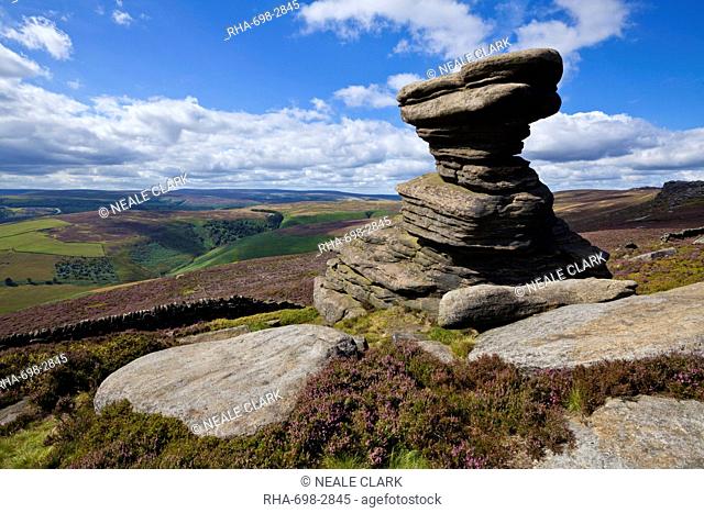 Salt Cellar Rock, Derwent Edge, with purple heather moorland, Peak District National Park, Derbyshire, England, United Kingdom, Europe