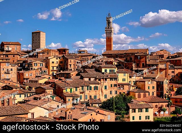 Panoramic View of Siena with Tiled Rooftops, Duomo and Torre del Mangia - Tuscany, Italy