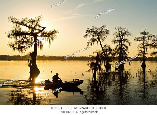 Cyrpress Island, Lake Martin, Louisiana  Sunset