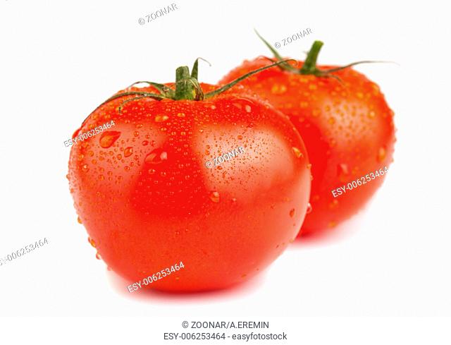 Two ripe red tomatoes with water drops