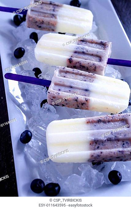 Homemade Vanilla, Blueberry and Coconut Milk Popsicles