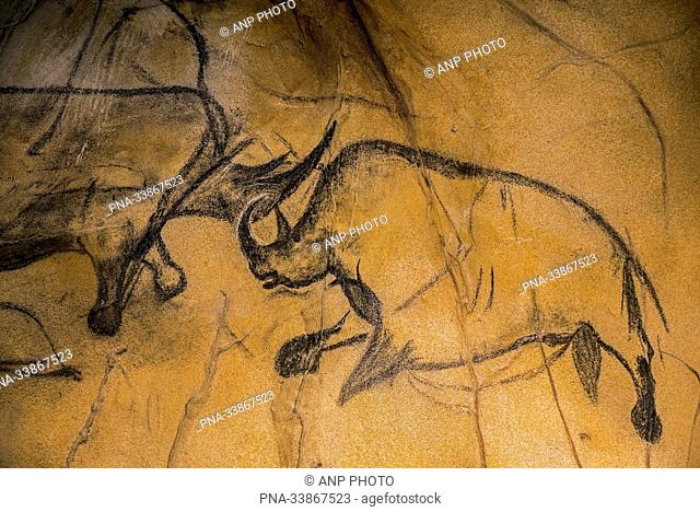 Woolly rhinoceros (Coelodonta antiquitatis) - Chauvet Cave, Vallon-Pont-d'Arc, Ardeche, Rh??ne-Alpes, France, Europe